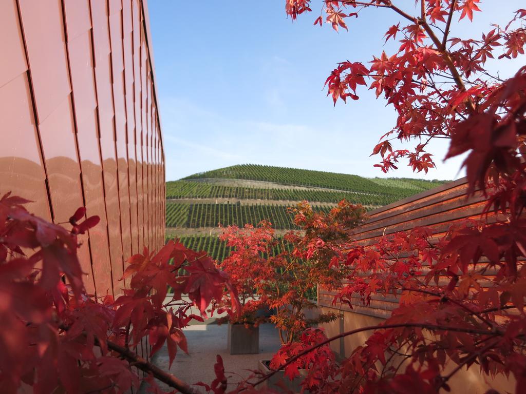 Niederhausen 格特黑曼斯贝格旅馆酒店 外观 照片