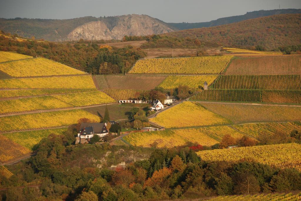 Niederhausen 格特黑曼斯贝格旅馆酒店 外观 照片