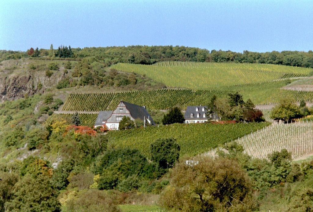 Niederhausen 格特黑曼斯贝格旅馆酒店 外观 照片